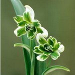 s2010020103.jpg