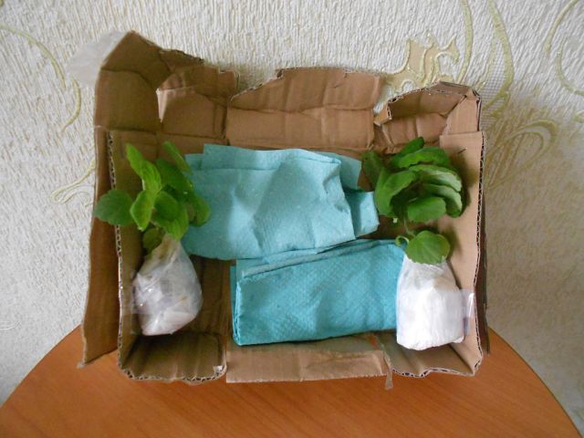 getImage (2).jpg