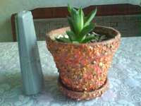 DSC00845_thumb.jpg