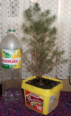 DSCN5702.JPG