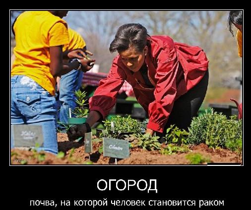 огород.jpg
