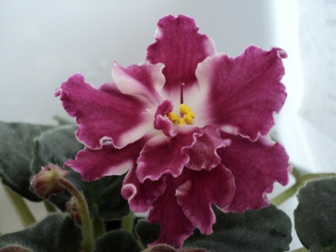 DSC08610.JPG