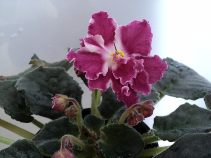 DSC08609.JPG