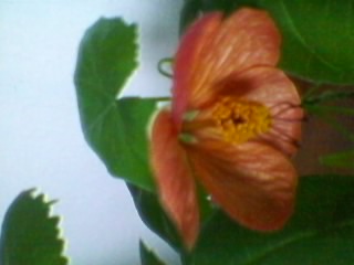 SPM_A0161.jpg
