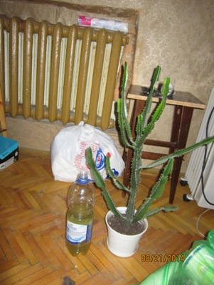 IMG_0799.JPG
