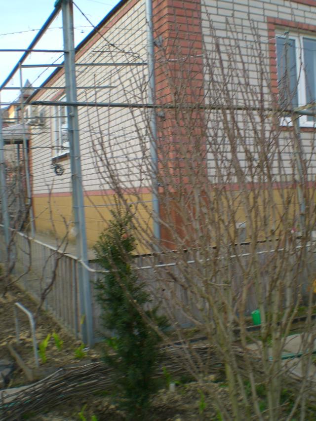CIMG0035.jpg