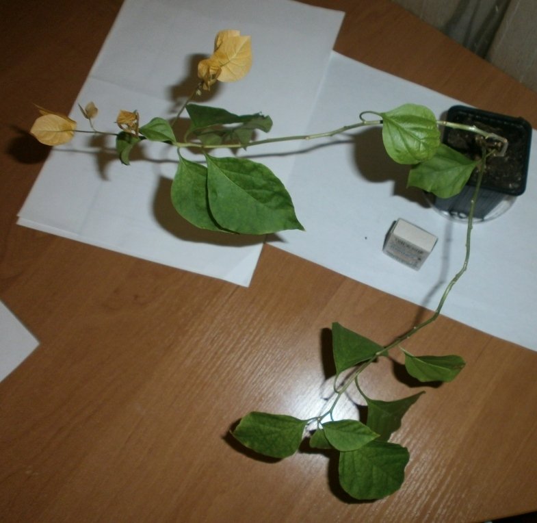 99c8cb4d2480[1].jpg