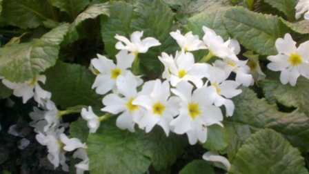 2013-05-05-460.jpg