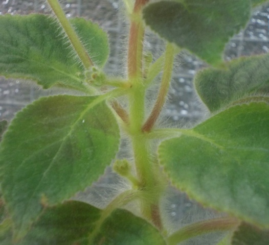 DSCN5863.JPG