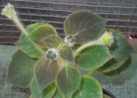 DSCN5861.JPG