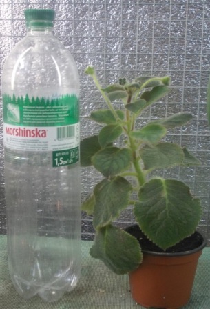 DSCN5860.JPG