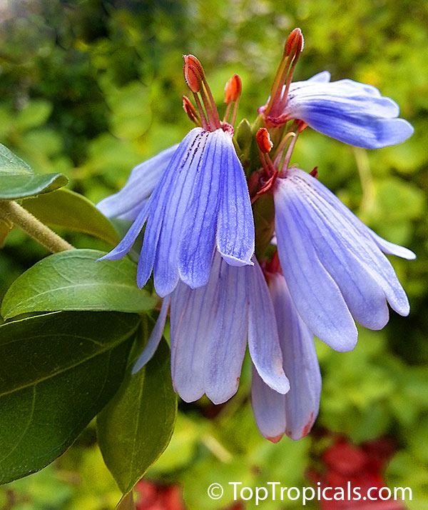 20130527_085420.jpg