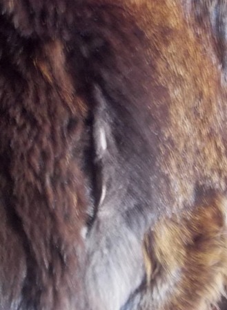 DSCN5983.JPG