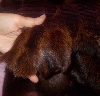 DSCN5965.JPG