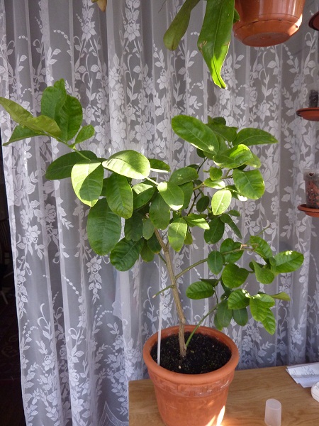 P1060191.JPG