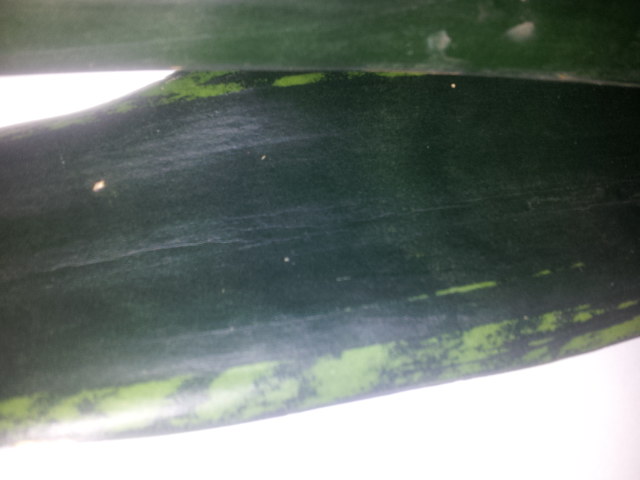 20140407_110702.jpg