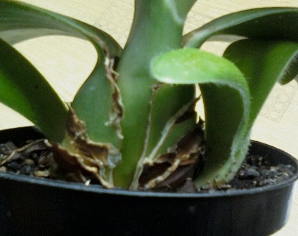IMG1592-01.jpg