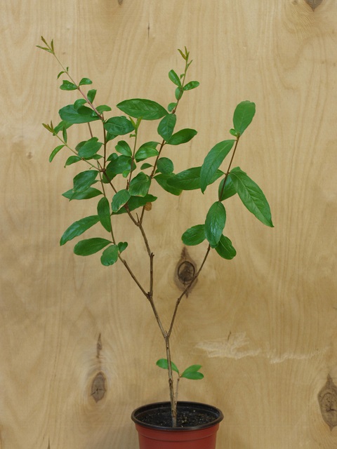 P413618-7.jpg