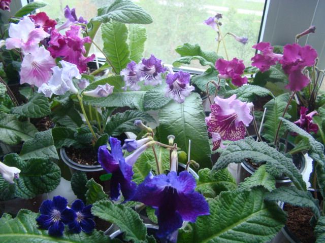 DSC05804.JPG