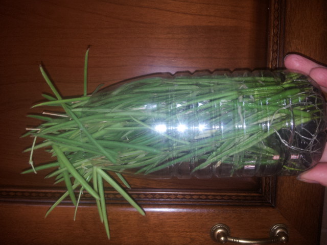 20140415_174136.jpg