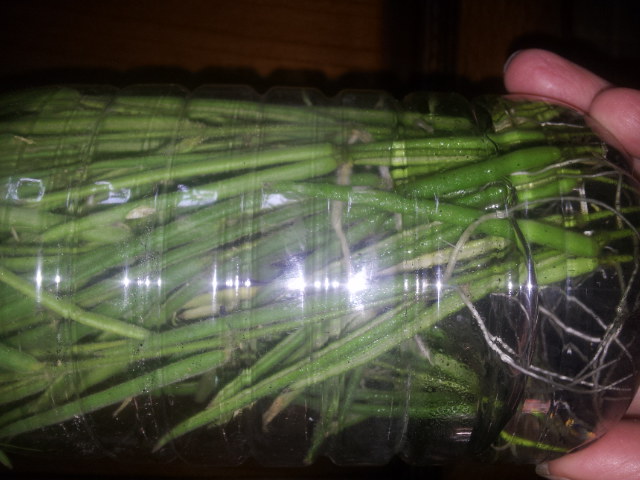20140415_174149.jpg
