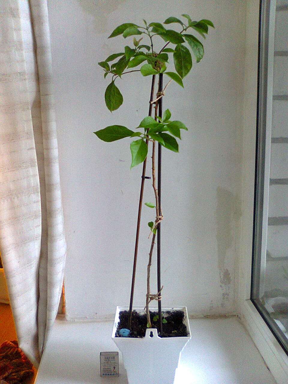 1Фото0310.jpg