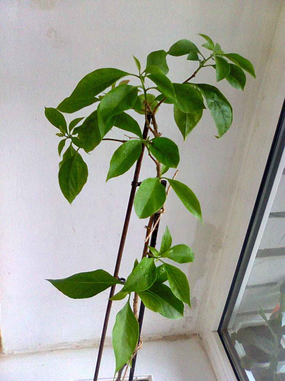 1Фото0311.jpg