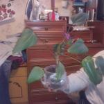 IMG_20140424_194526.jpg