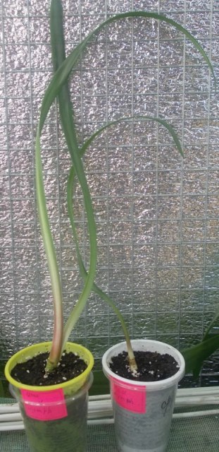 DSCN6099.JPG