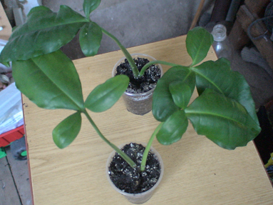 DSC01361а.jpg
