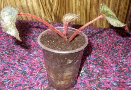 DSCN6156.JPG