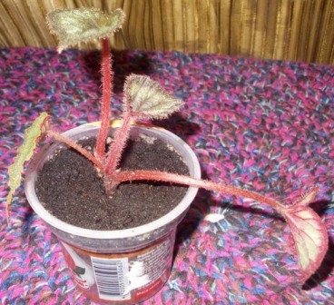 DSCN6158.JPG