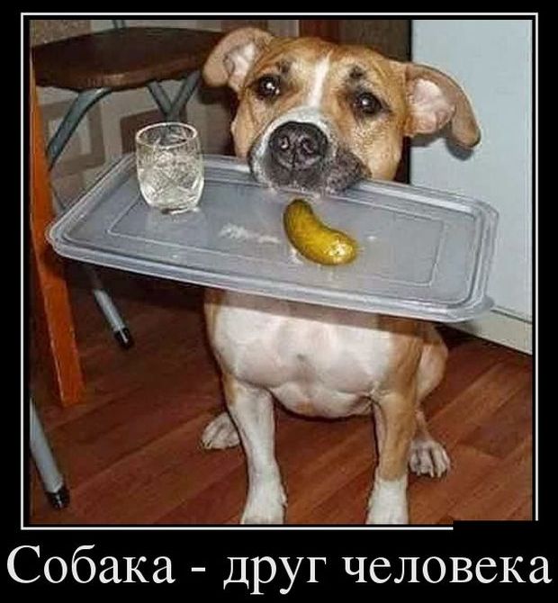674567_49.jpg