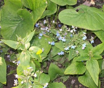 100_0362.jpg