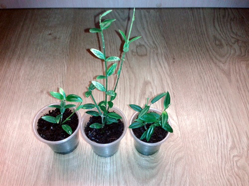 2014-05-10 23.14.35.jpg