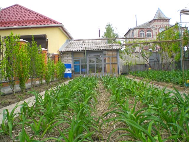 CIMG0209.jpg