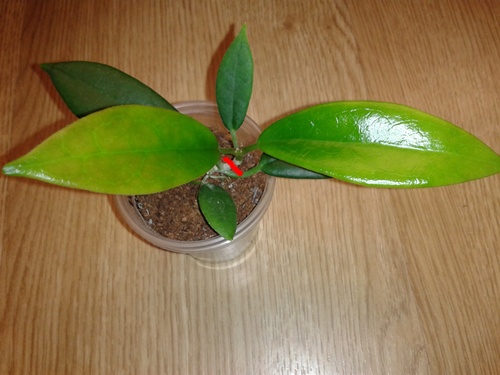 2014-05-10 23.40.55.jpg