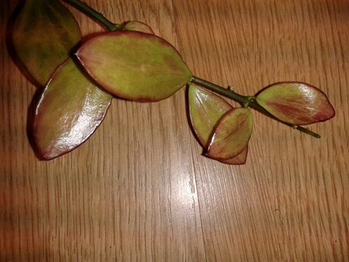 2014-05-10 23.44.28.jpg