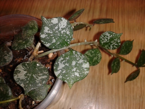 2014-05-10 23.33.33.jpg
