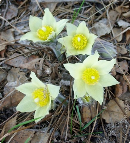 image_767721.jpg