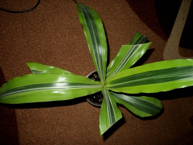 getImage (10).jpg