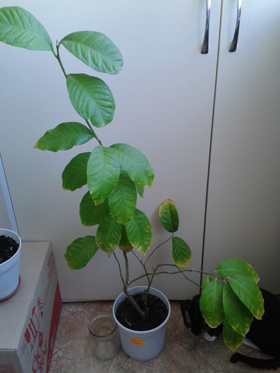 2014-05-21 10.05.15.jpg
