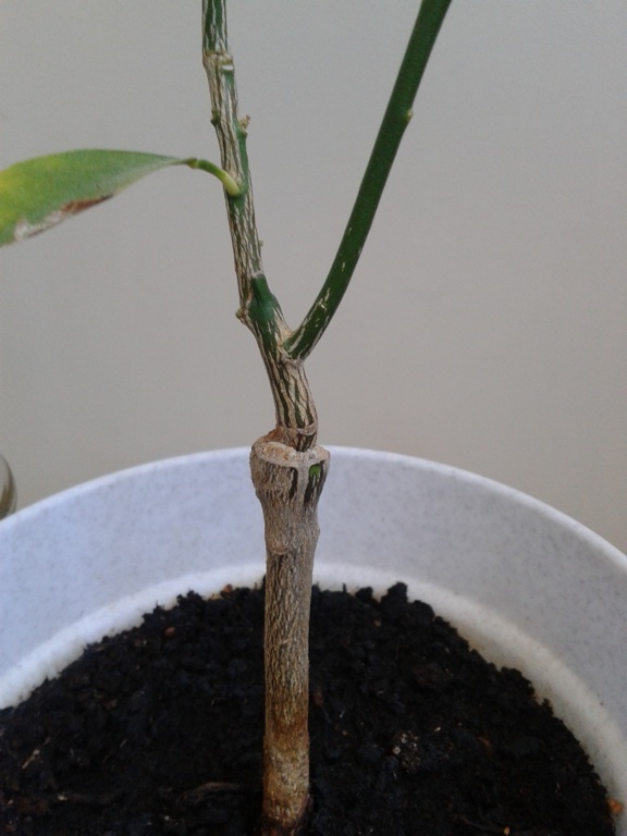 2014-05-21 10.09.37.jpg