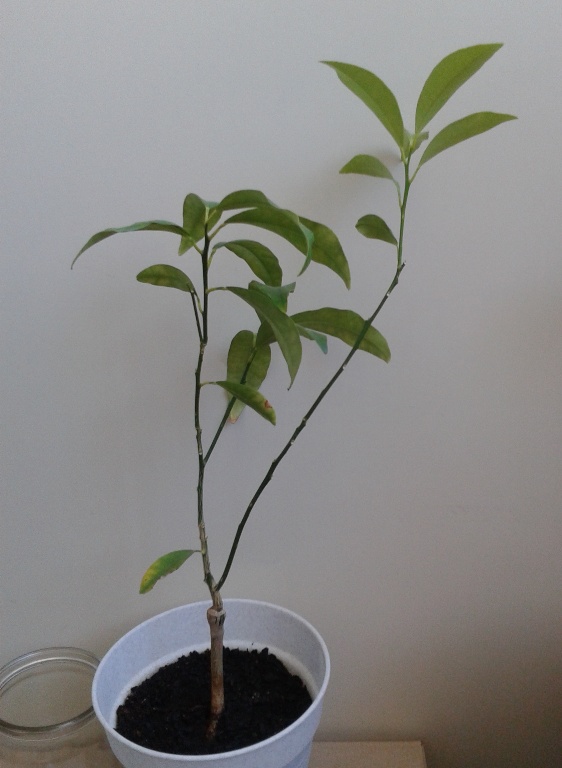 2014-05-21 10.09.19.jpg