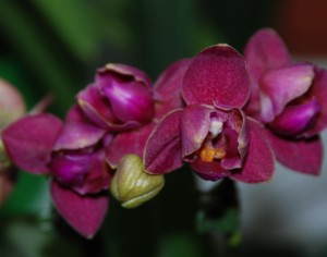DSC_3199.JPG