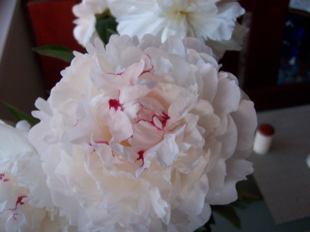 100_8227.JPG