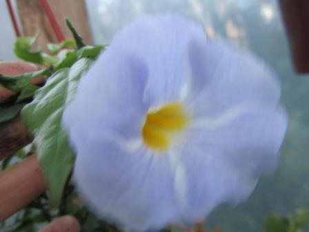 IMG_1672.jpg