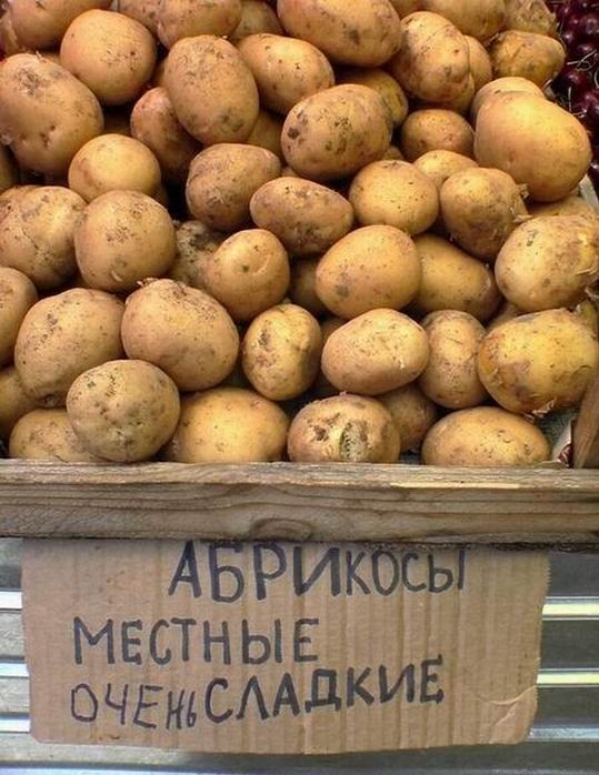 абрикосы.jpg
