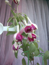 Image006.jpg