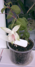Image008.jpg
